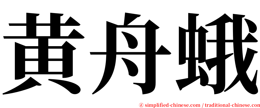 黄舟蛾 serif font