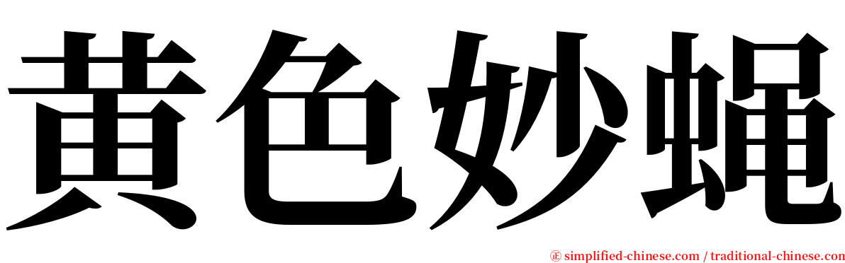 黄色妙蝇 serif font