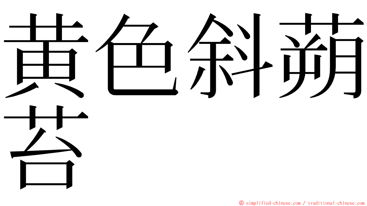 黄色斜蒴苔 ming font