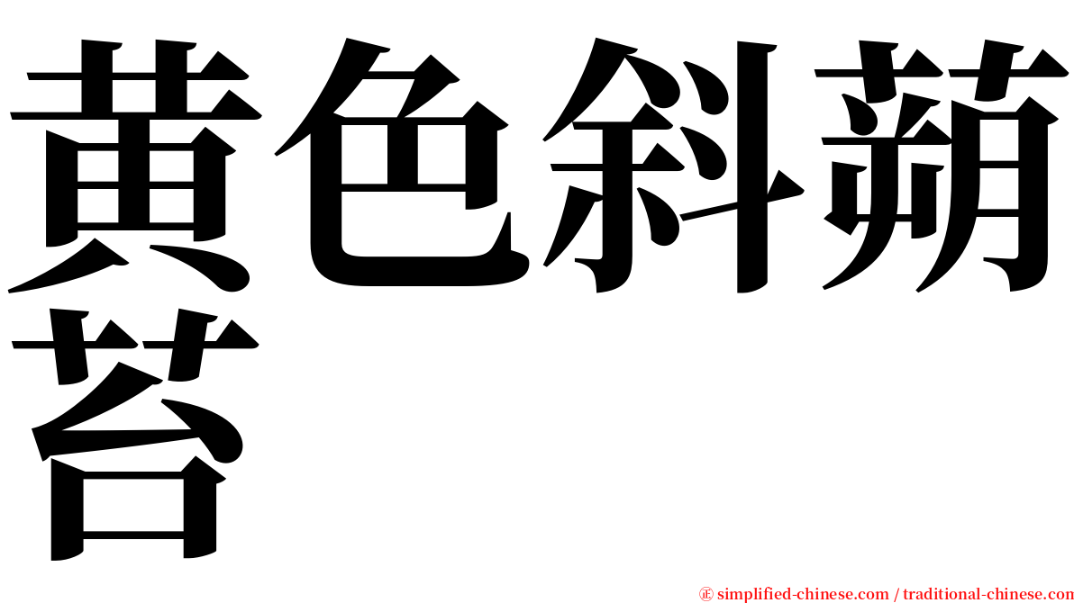 黄色斜蒴苔 serif font