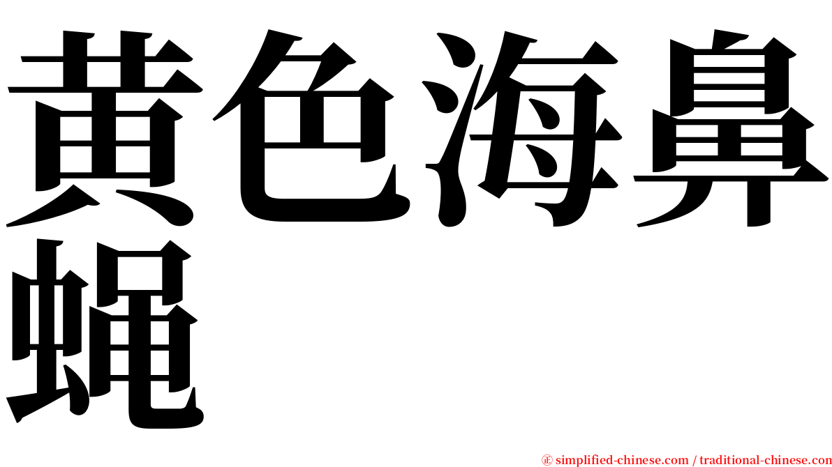 黄色海鼻蝇 serif font