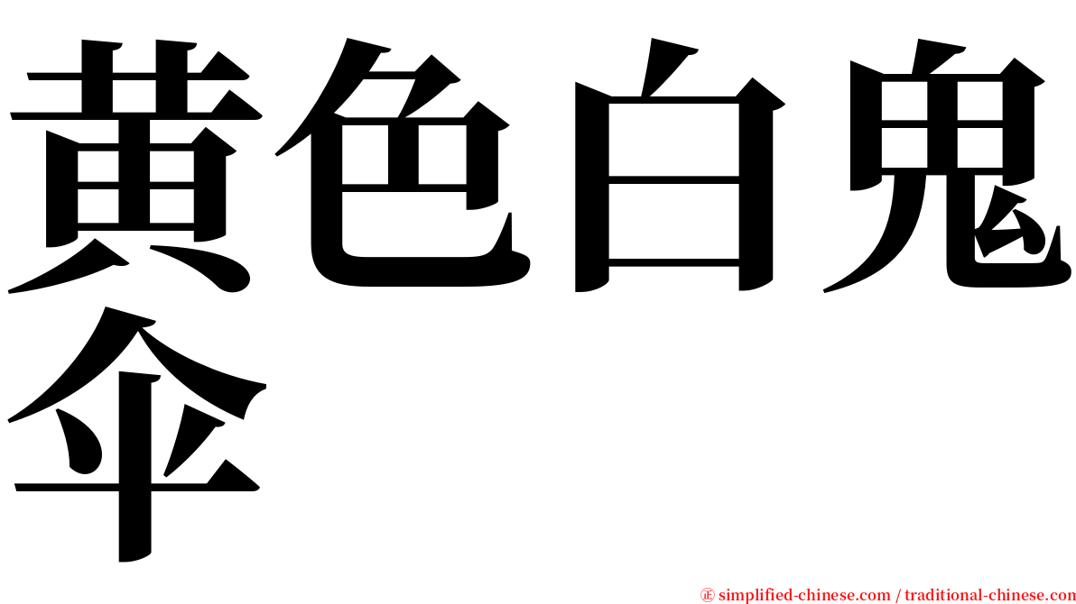 黄色白鬼伞 serif font