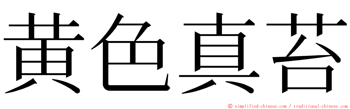 黄色真苔 ming font