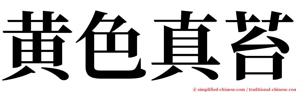 黄色真苔 serif font