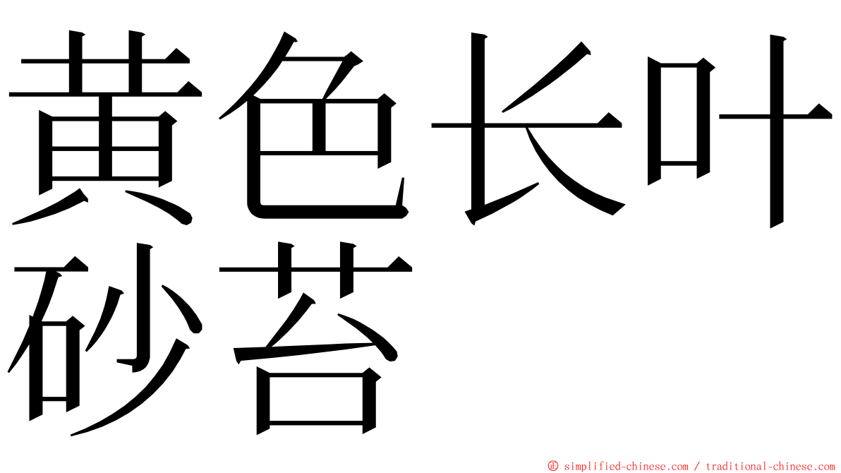 黄色长叶砂苔 ming font