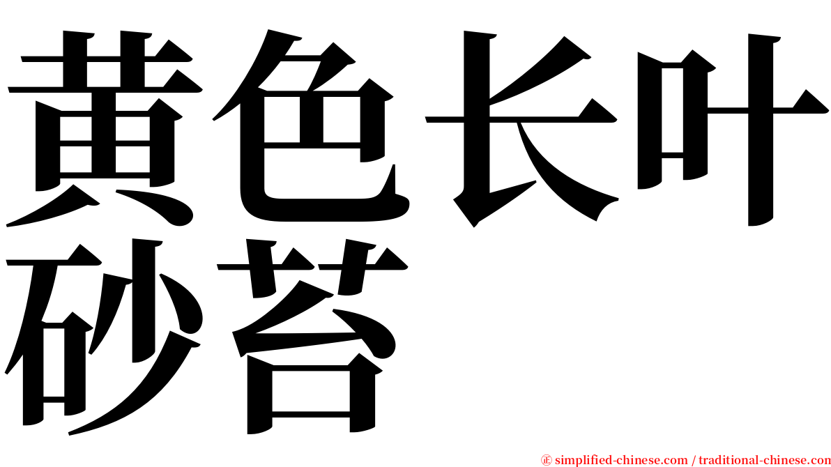 黄色长叶砂苔 serif font