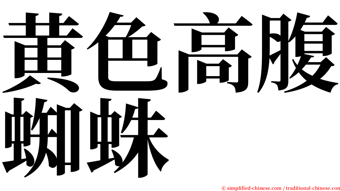 黄色高腹蜘蛛 serif font