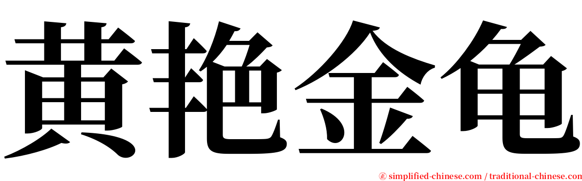 黄艳金龟 serif font