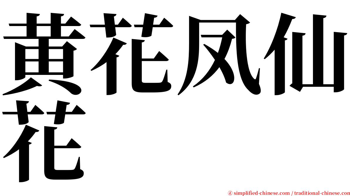 黄花凤仙花 serif font