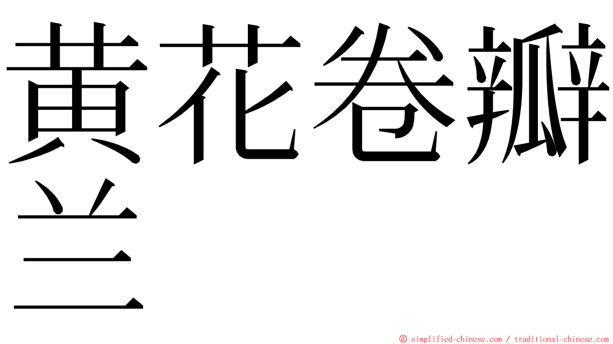 黄花卷瓣兰 ming font