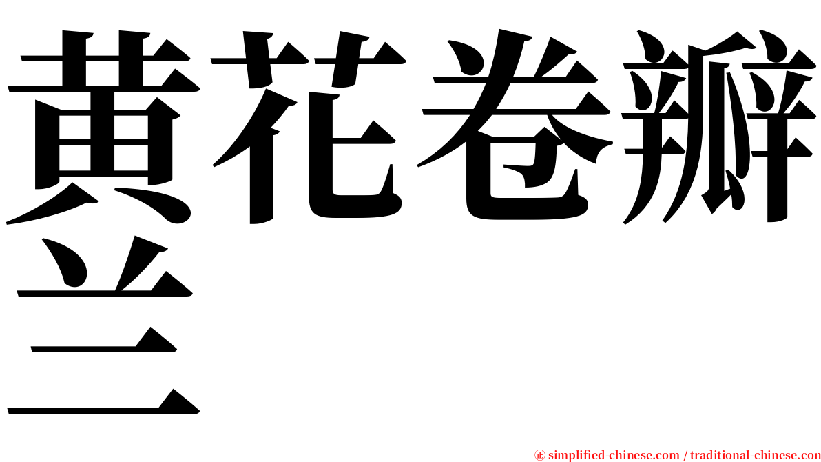 黄花卷瓣兰 serif font