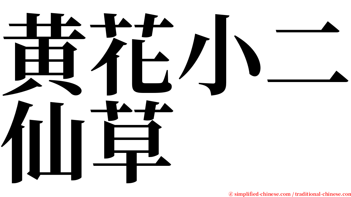 黄花小二仙草 serif font