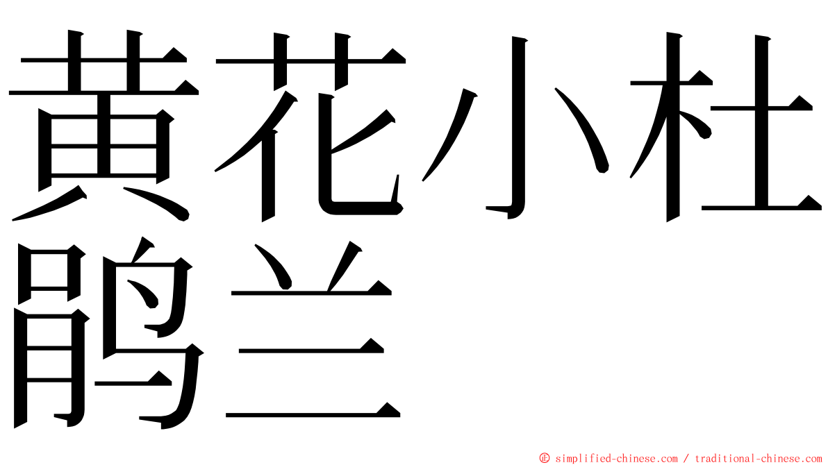 黄花小杜鹃兰 ming font