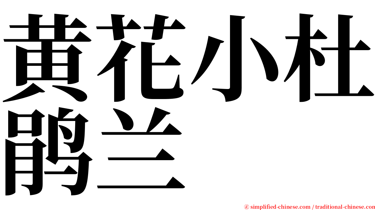 黄花小杜鹃兰 serif font