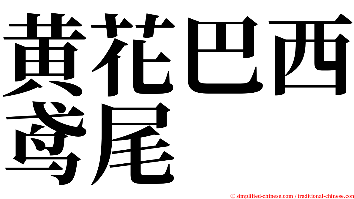 黄花巴西鸢尾 serif font