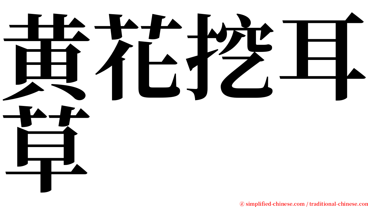 黄花挖耳草 serif font
