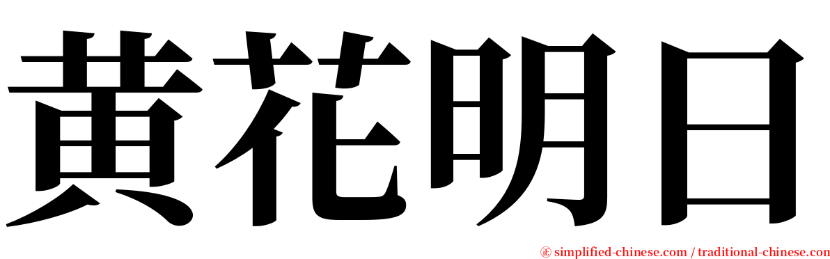 黄花明日 serif font