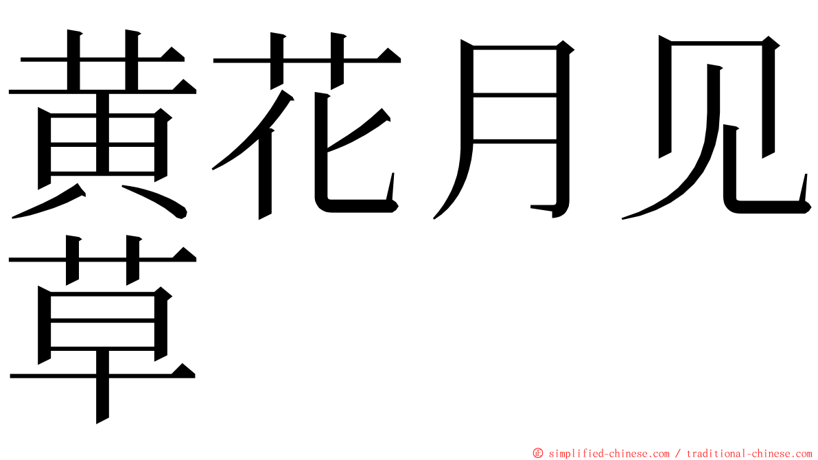 黄花月见草 ming font