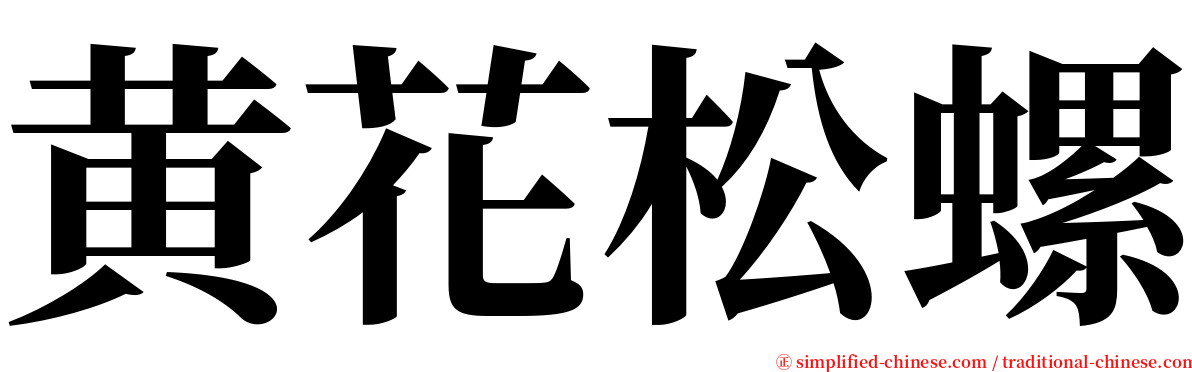 黄花松螺 serif font