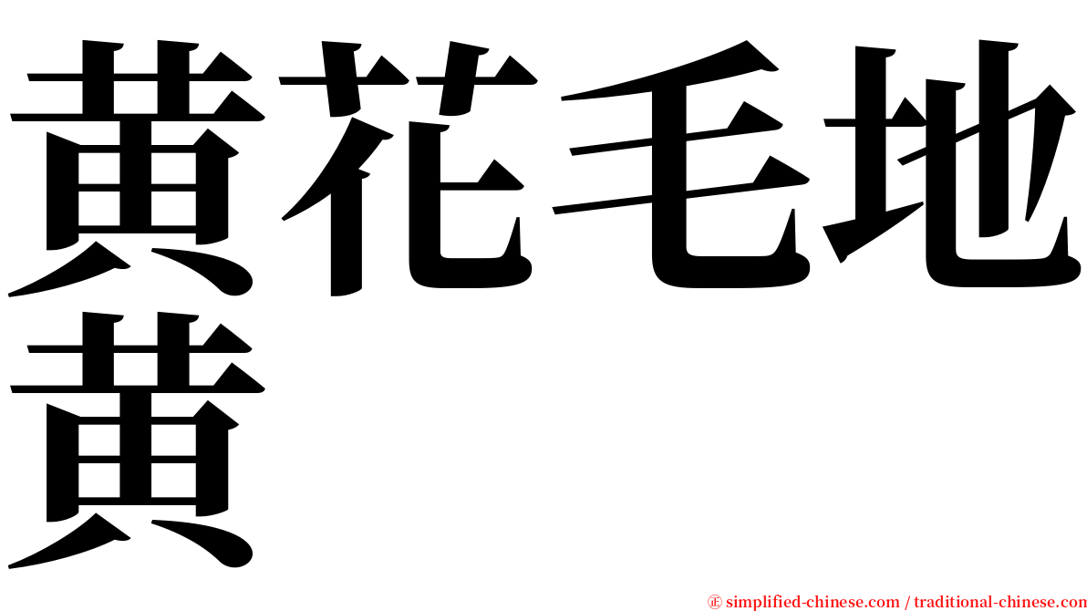 黄花毛地黄 serif font