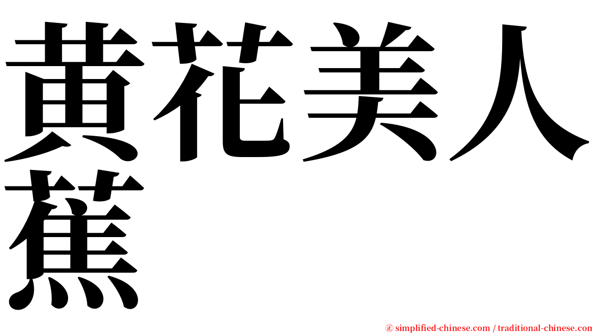 黄花美人蕉 serif font