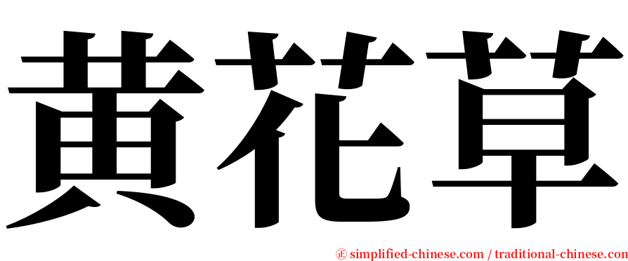 黄花草 serif font