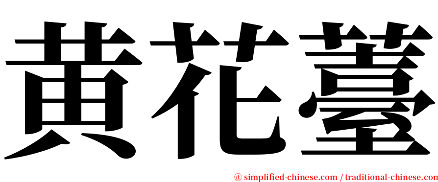 黄花薹 serif font