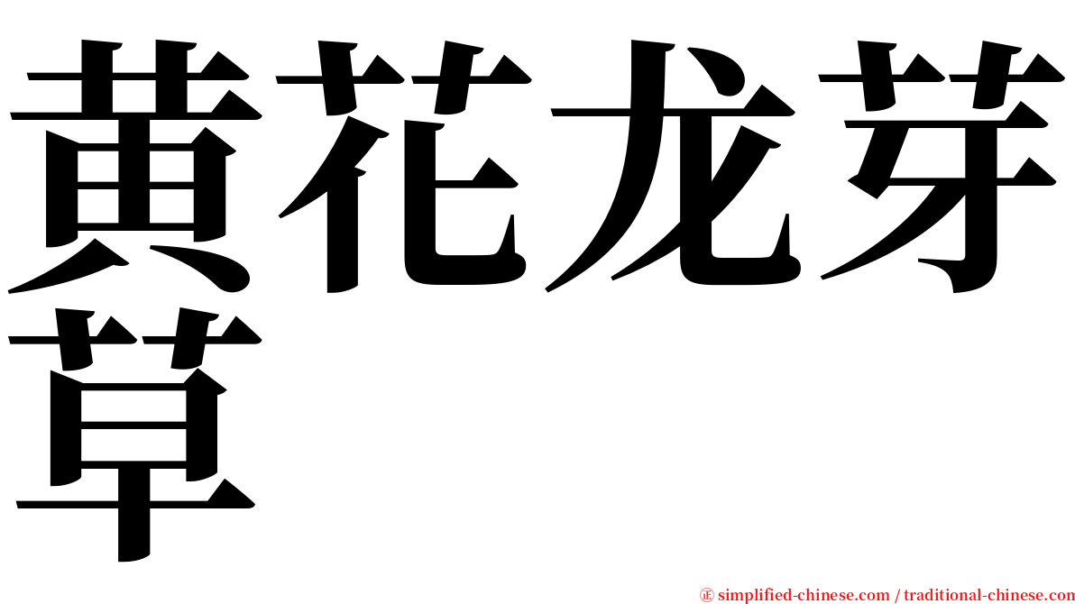 黄花龙芽草 serif font