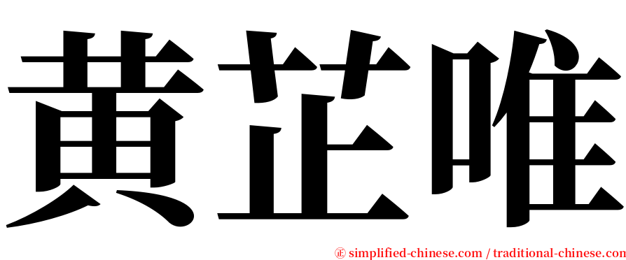 黄芷唯 serif font