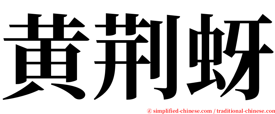 黄荆蚜 serif font