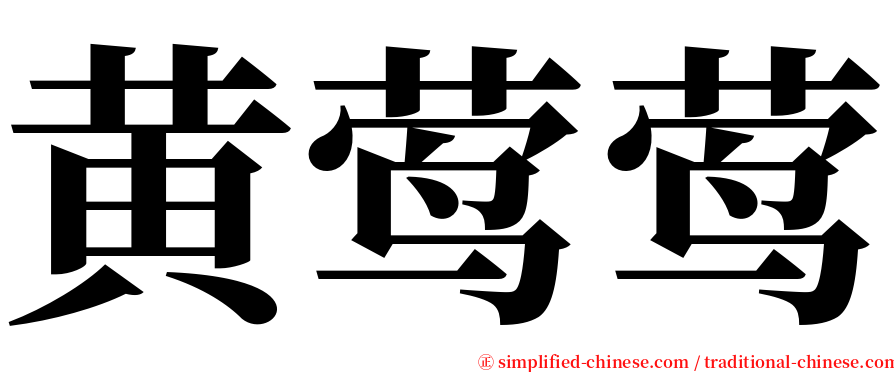 黄莺莺 serif font