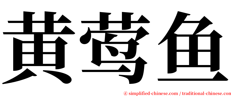 黄莺鱼 serif font