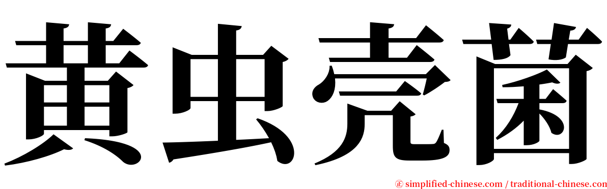 黄虫壳菌 serif font