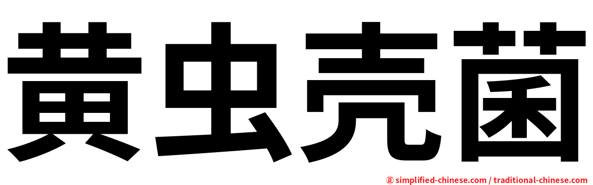 黄虫壳菌
