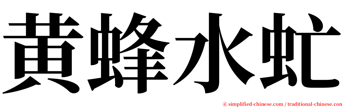 黄蜂水虻 serif font