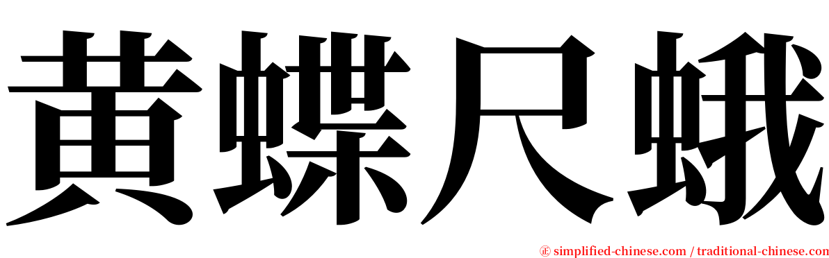 黄蝶尺蛾 serif font