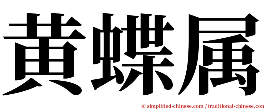 黄蝶属 serif font