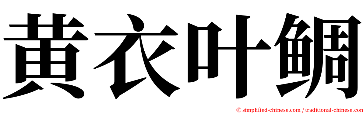 黄衣叶鲷 serif font