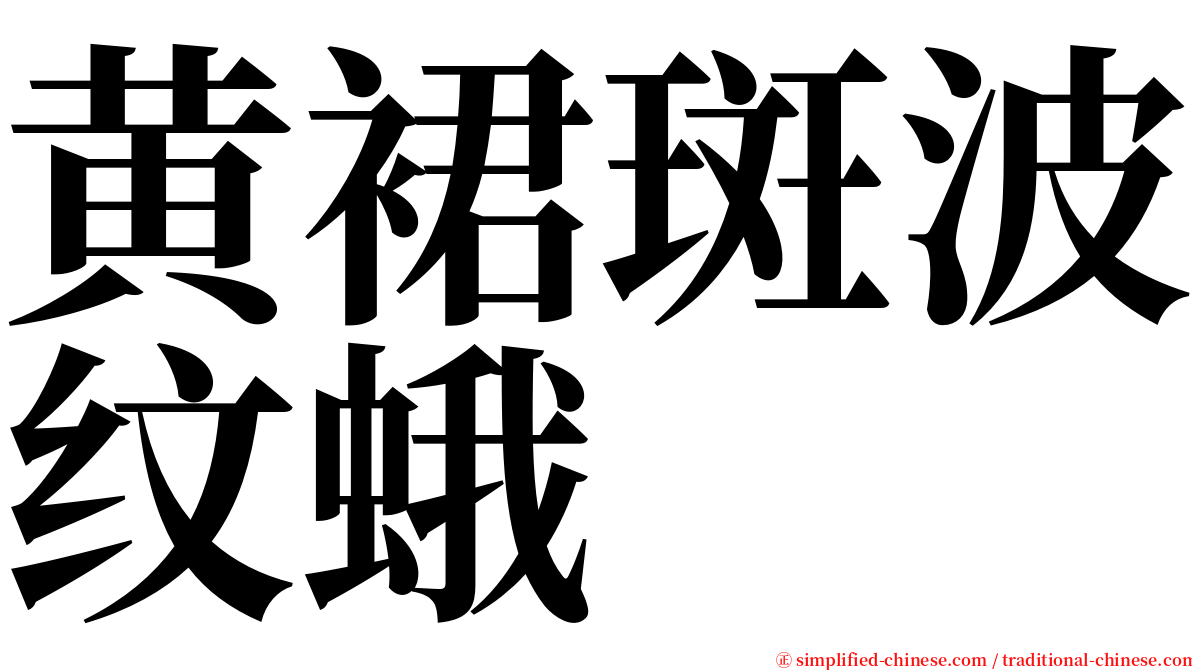 黄裙斑波纹蛾 serif font