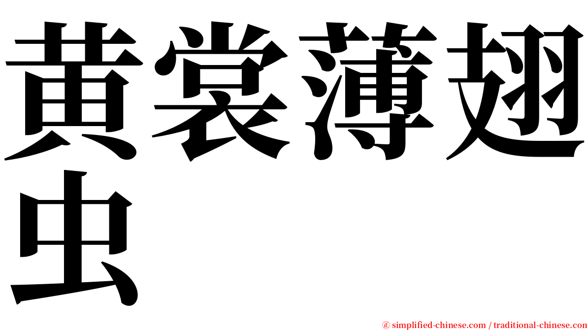 黄裳薄翅虫 serif font