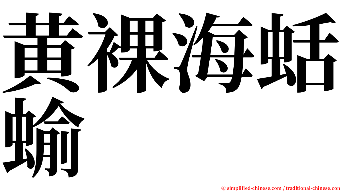 黄裸海蛞蝓 serif font