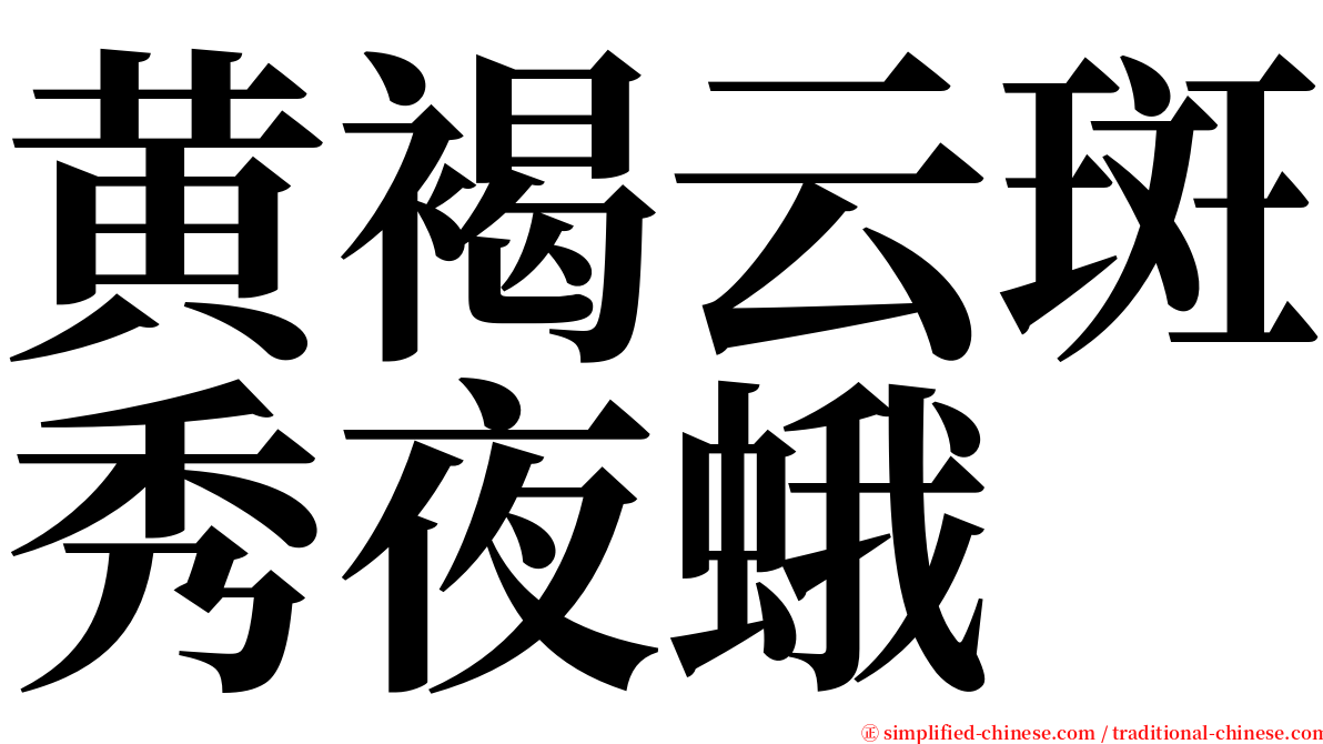 黄褐云斑秀夜蛾 serif font