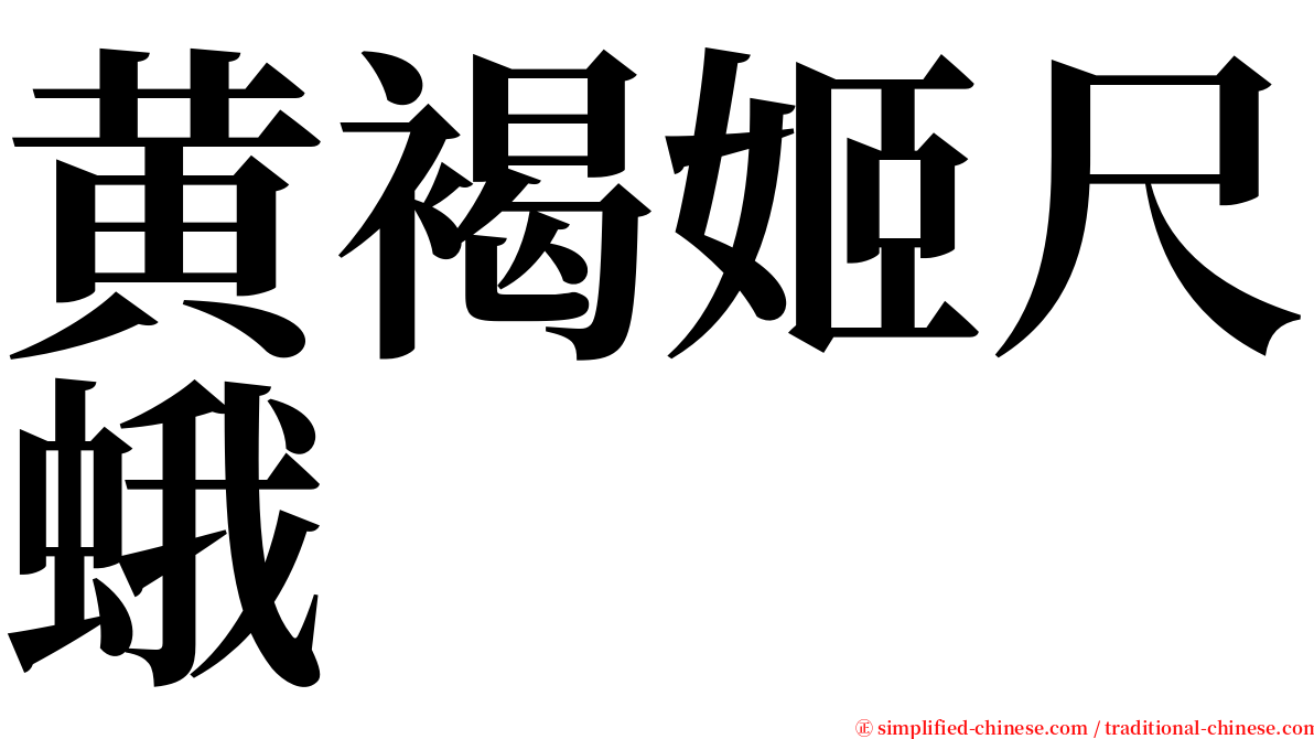 黄褐姬尺蛾 serif font