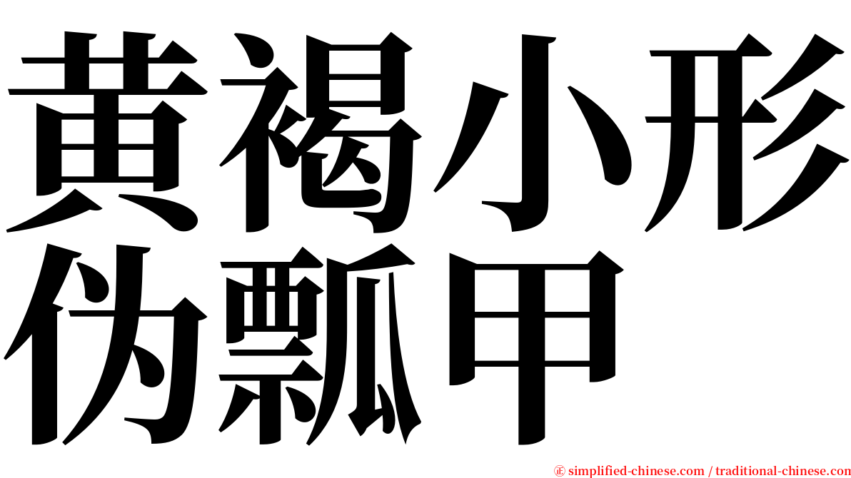 黄褐小形伪瓢甲 serif font