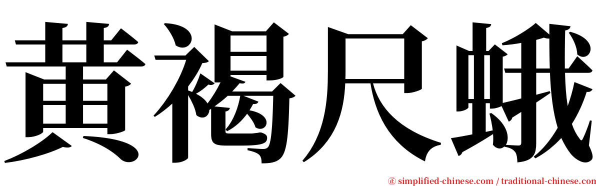 黄褐尺蛾 serif font