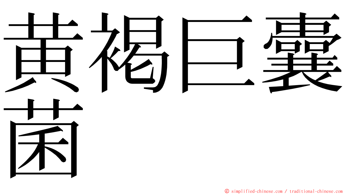 黄褐巨囊菌 ming font