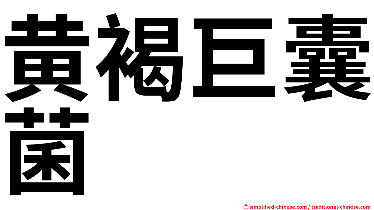 黄褐巨囊菌