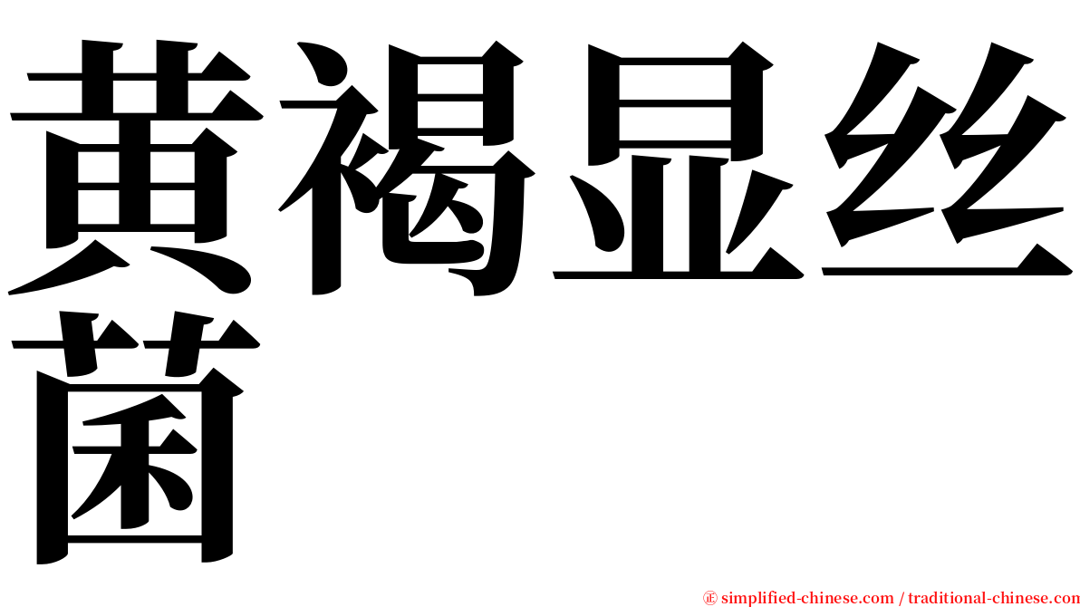 黄褐显丝菌 serif font