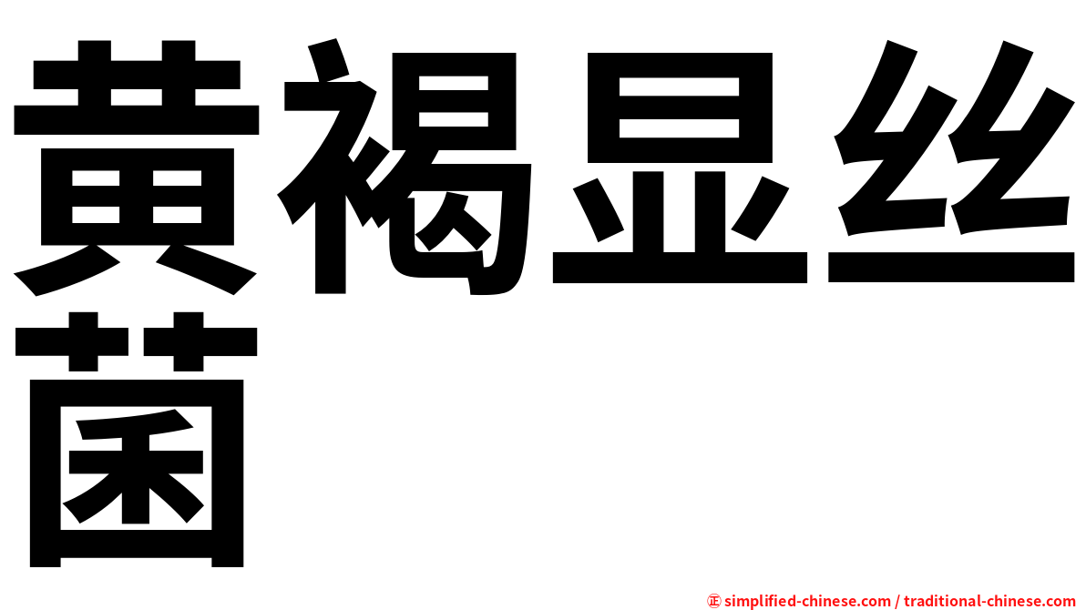 黄褐显丝菌