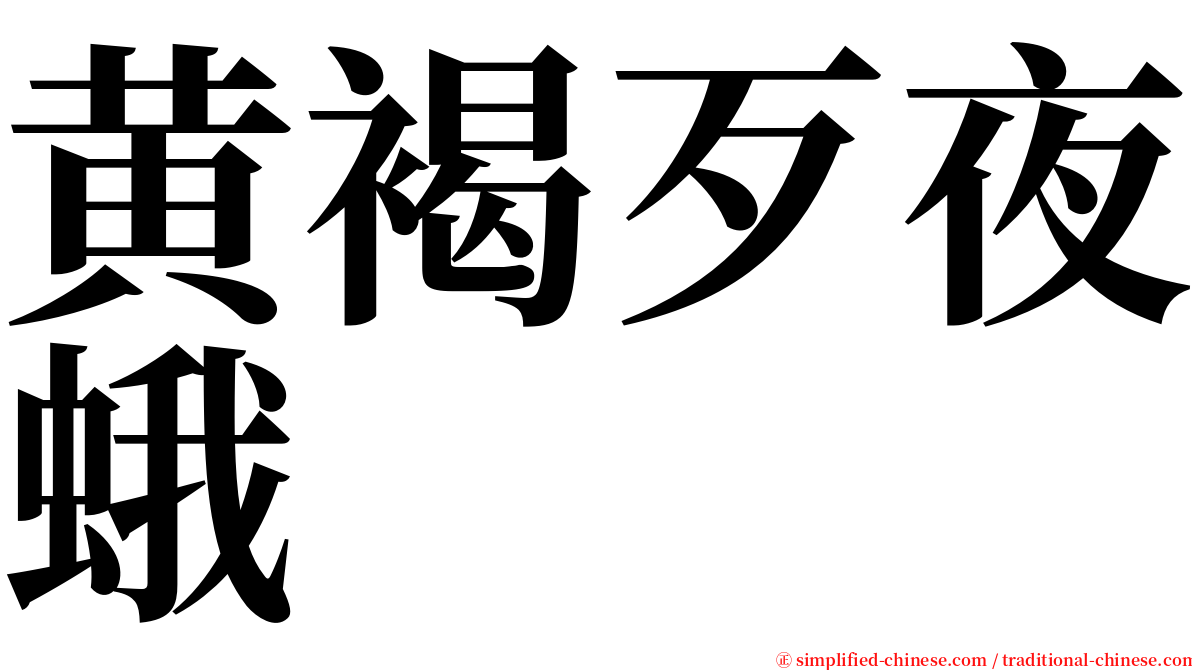 黄褐歹夜蛾 serif font